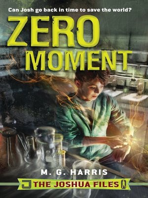 cover image of Zero Moment